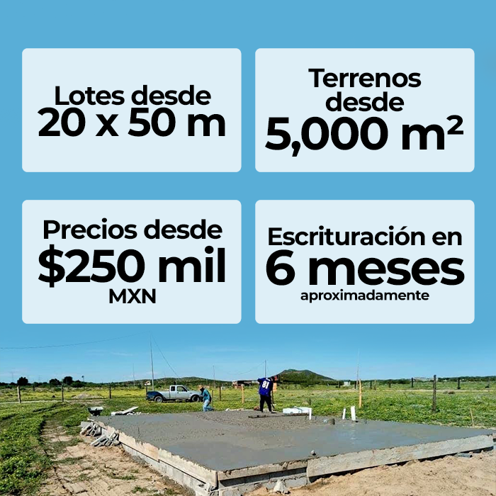 Huertas de Samalayuca