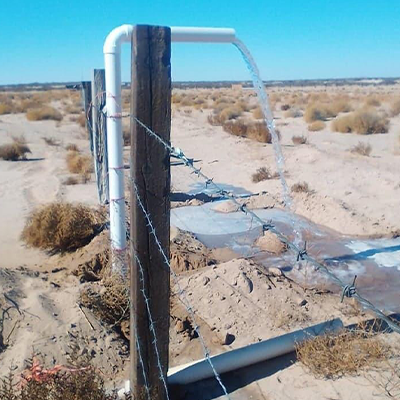 Huertas de Samalayuca