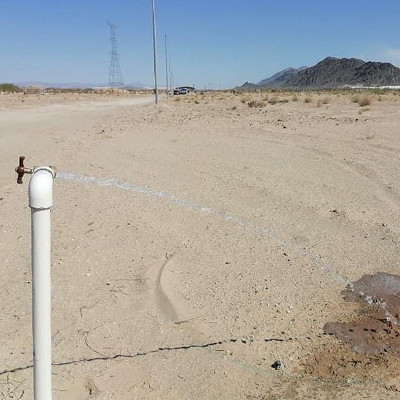 Huertas de Samalayuca